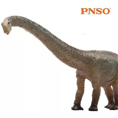 PNSO Mamenchisaurus Model Dinosaur Animal Figure Collection Decor Kids Toy Gift • $10.99