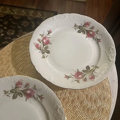 Vintage Poland Moss Rose Pattern Set Of Seven 4 Dinner Plates 10  • $7
