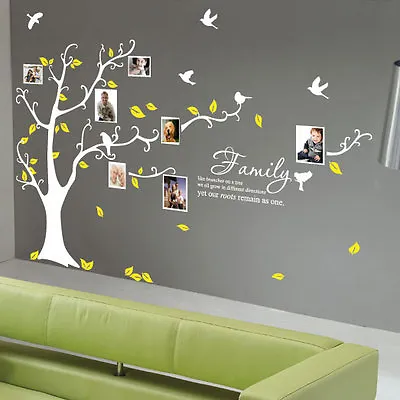 Family Tree Bird Photo Frame Wall Quotes Wall Stickers Wall Art Home Wall Decals • £38.99