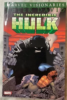 Hulk Visionaries Peter David 1 Marvel 2005 Graphic Novel 1st • $15.99