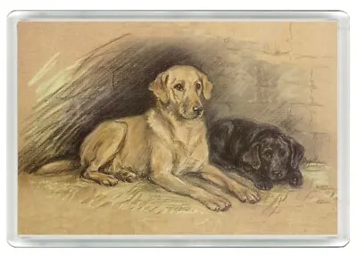 Labrador Retriever Dogs Dog Art Print Novelty Acrylic Fridge Magnet Great Gift • £3.49