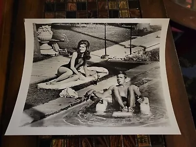 $8.99 • Buy Pamela Tiffin Irving Klaw Archives, Movie Star News Vintage Photo 8x10 1970s #9