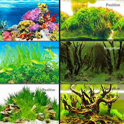 $15.28 • Buy Fish Tank Background HD Aquarium Decor Adorn 3D Landscape Sticker Double Sided