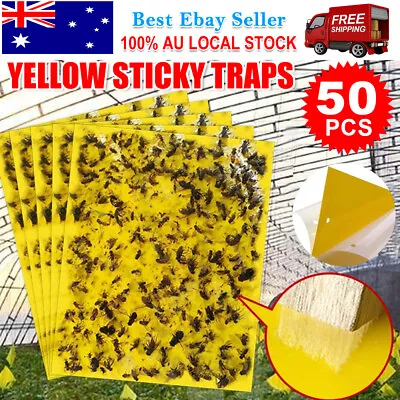 50PCS Sticky Trap Fly Paper Flies Trap Insect Yellow Sticky Fruit Fly Traps • $13.25