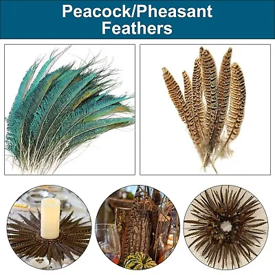 Peacock/Pheasant Tail Feathers 25-30cm DIY Craft Hat Costume Wedding Party 10pcs • £5.59