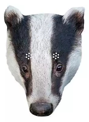 £3.99 • Buy Badger Animal 2D Single Card Party Mask - Countryside Wildlife World Book Day