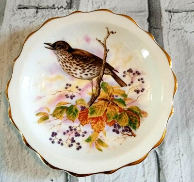 £8.99 • Buy Heritage Regency Thrush Bird Bone China Trinket / Pin  Dish Made In England