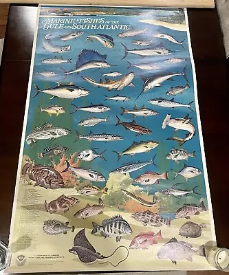 Vintage 1973 NOAA Marine Fishes Of The Gulf & South Atlantic Linen Poster 30x48” • $24.95