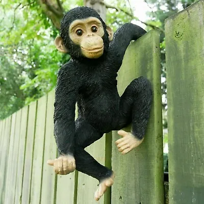 Climbing Monkey Ornament Tree Hanging Garden Wall Fence Statue Sculpture Animal • £28.99