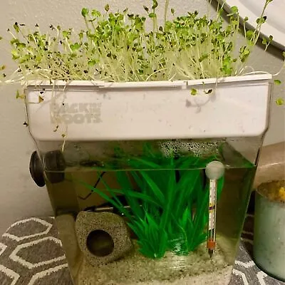 Back To Roots Fish Tank 3 Gallon Grow Microgreens On Top • $39