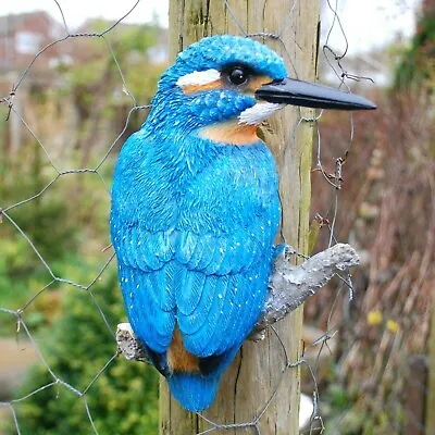 £14.99 • Buy Wall Mountable Kingfisher Bird Garden Ornament Outdoor Animal Statue