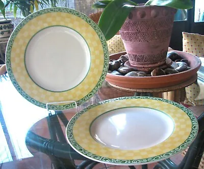 Villeroy & Boch Switch Summerhouse SET/2 Vitro Porcelain Dinner Plates • $19.99