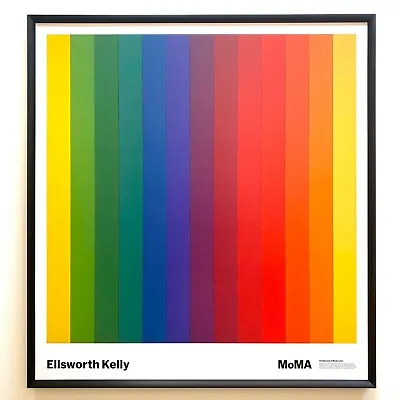 Ellsworth Kelly Modernist Lithograph Print Framed Moma Poster  Spectrum Iv  1967 • $2250