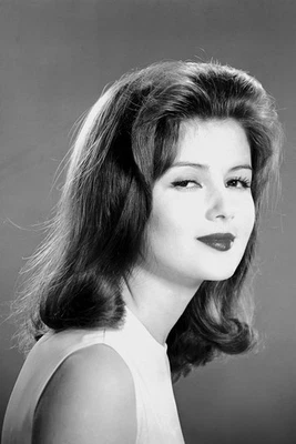 $14.99 • Buy Pamela Tiffin Vintage Photo Shoot 11x17 Mini Poster