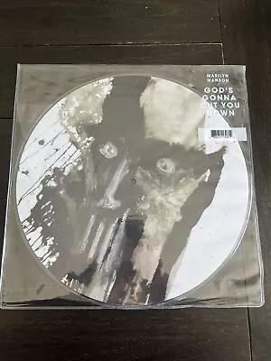 New Marilyn Manson - God's Gonna Cut You Down: Pic Disc Vinyl • $70