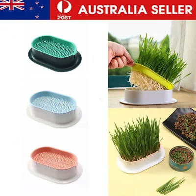 $13.69 • Buy Catnip Planting Box With Seeds Cat Grass Growing Box Pet Accessory For Cats