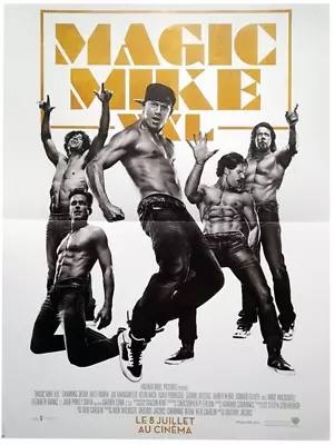 Poster Folded 15 11/16x23 5/8in Magic Mike XXL (2015) Channing Tatum Matt • $10.95