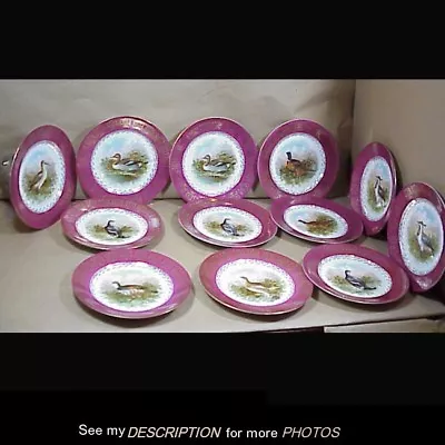 Great 12pc M Z Moritz Zdekauer Austria Game Bird Decorated 8-1/2  Dessert Plates • $325