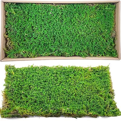 2pcs 7.1’*14.2’ Artificial Dried Sheet Moss Fake Moss Preserved Green Moss Ma... • $24.04