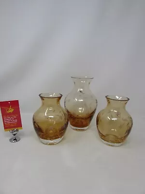 Caithness Glass Amber Fuchsia Glass Vases                                    D12 • £5.95