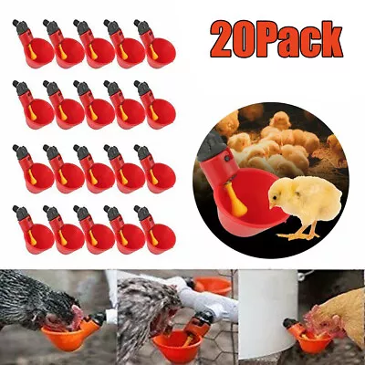 20PCS Poultry Water Drinking Cups Chicken Hen Quail Plastic Automatic Drinker US • $14.71