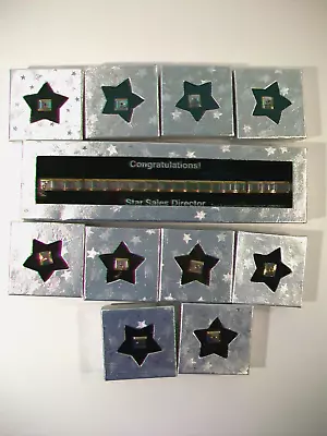 New Mary Kay Star Sales Director Slide Charm Bracelet & Slide Charms Lot • $9.95