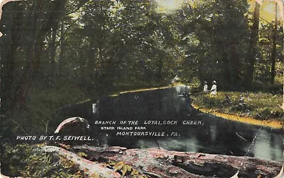 Branch Of The Loyalsock Creek Starr Island Park Montoursville PA - C1910 VTG PC • $15.59