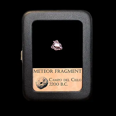 Original Meteorite - Campo Del Cielo Site - With Display Case • $19.98