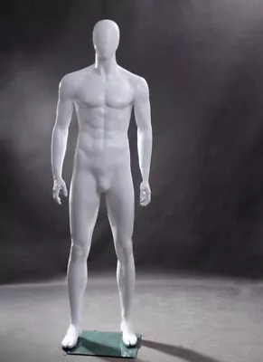 Male Adult Full Body Egg Head Fiberglass Mannequin With Square Glass Base • $383.33