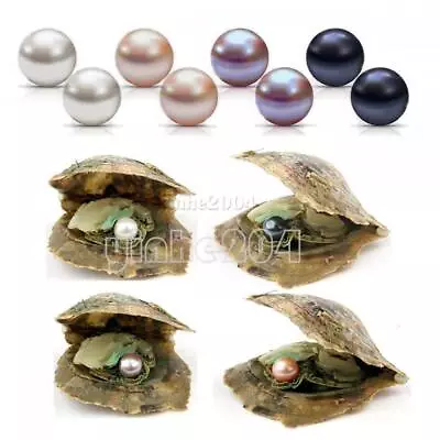 10-50pcs Individually Wrapped Oysters With Natural Pearl Holiday Birthday Gift • $21.99