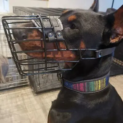£73.08 • Buy Doberman Dog Muzzle Basket Black Rubberized Wire Cage Male Size Allows Drinking