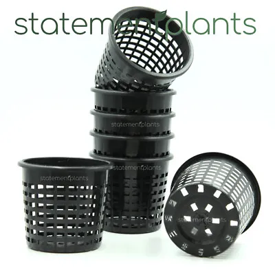 $19.95 • Buy 80mm Mesh Net Plant Basket Pot - Hydroponics, Orchids - Heavy Duty - Various Qty