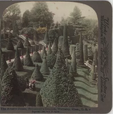 Artist's Dream Hunnewell's Gardens Wellesley MA Underwood Stereoview 1894 • $9.99