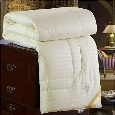 Winter Mulberry Silk Duvet Comforter Queen King Natural Silk Duvets Quilts • $65.74