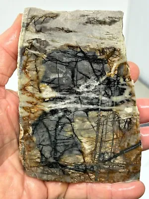 Picasso Marble (Jasper) Slab Cabbing Lapidary Utah Combo Ship Avail • $17