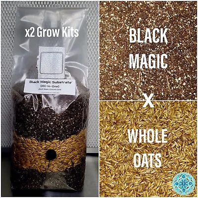 Premium Exotic Dung ALL-IN-ONE Mushroom Grow Kit 2 Pack Kit 5lb Bag • $59.99