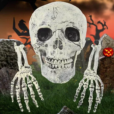 Skeleton Skull Halloween Party Scary Garden Yard Lawn Bones Skull Decoration NEW • £6.90