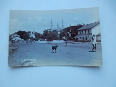 Mhow  Street India  Postcard Scene Photo By Guerra & Sons • £39.99