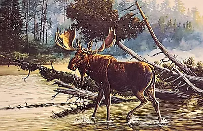 NEW Moose Print By Louis Raymer - Hunting - Cabin - Lodge - Sportsman - LG • $8.95