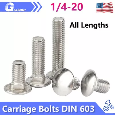1/4-20 Carriage Bolts Screws DIN 603 A2 Stainless Steel Round Square All Lengths • $8.46