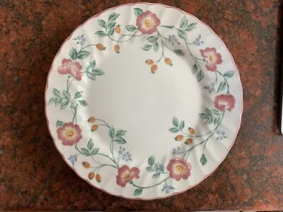 $30 • Buy Churchill Briar Rose Staffordshire Dinner Plates 10  Set Of 6