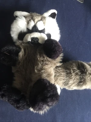 £3 • Buy Raccoon Glove Puppet 28cm Long