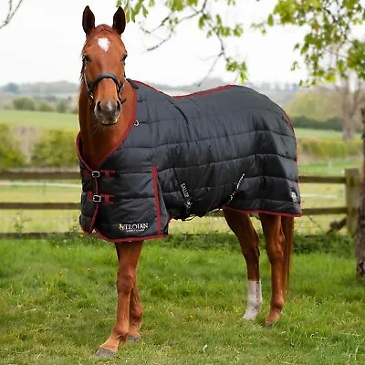 50g STABLE RUG | Gallop Trojan Indoor Sheet 5ft6 - 7ft Horse FREE P&P • £32.95