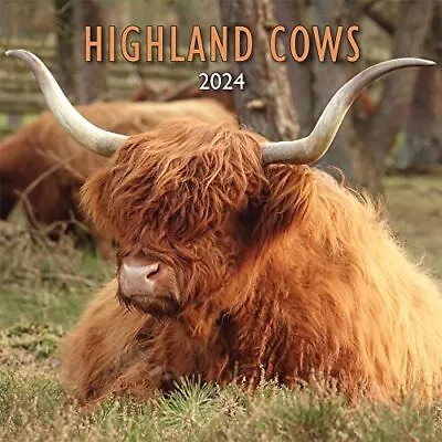 £9 • Buy 2024 Scotland Calendar: Highland Cows