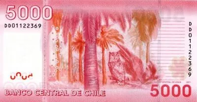 Chile - 5000 Chilean Polymer Pesos - P163 - 2011 Dated Foreign Paper Money - Pa • $25