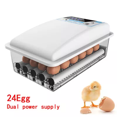 24 Eggs Turning Incubator Auto-Turning Egg Incubator Fully Automatic Hatcher USA • $44.65