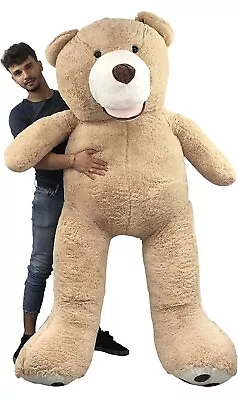 £50.50 • Buy Teddy Bear