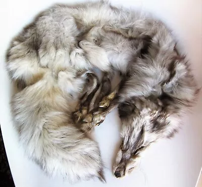 $100.79 • Buy Real Genuine Fox Fur WHOLE SKINS ONE PIECE Fur Stole Scarf Shawl Collar 45 