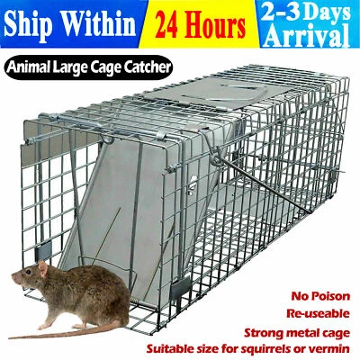 $33.90 • Buy Squirrel Trap Humane No Kill Metal Heavy Duty Pest Animal Rat Catch Cage Box