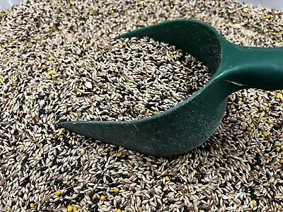 Canary Mixed Bird Seed - Multiple Quantities Available • £5.99